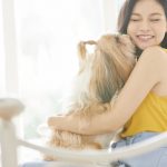【獣医が解説】犬のしつけは何歳から?いつまでに?知っておきたいしつけの基本