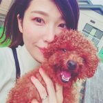 愛犬の健康が気になる飼い主さん必見!通販で買える人気サプリやグッズ4選