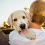 動物愛護団体シェルターを比較!おすすめポイントを解説