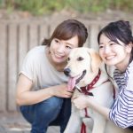 犬のシェルターってどんなところ?シェルターの種類や役割を解説