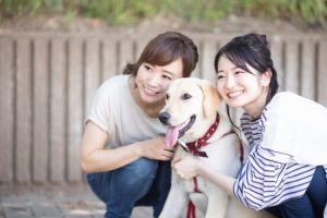 犬のシェルターってどんなところ?シェルターの種類や役割を解説
