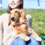 アニフェアって高額なの?~保護犬を迎えるための費用を調査!~